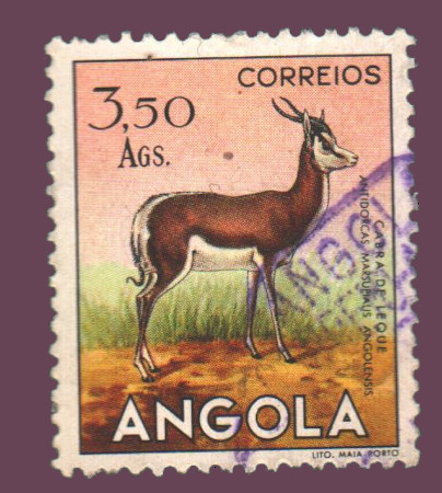 Cartes postales anciennes > CARTES POSTALES > carte postale ancienne > cartes-postales-ancienne.com Monde pays   Angola