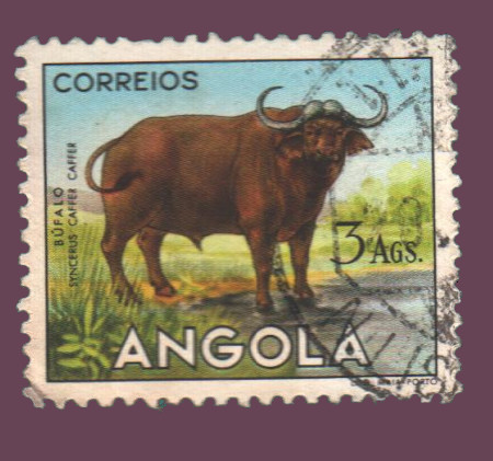 Cartes postales anciennes > CARTES POSTALES > carte postale ancienne > cartes-postales-ancienne.com Monde pays