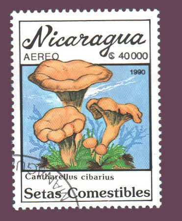 Cartes postales anciennes > CARTES POSTALES > carte postale ancienne > cartes-postales-ancienne.com