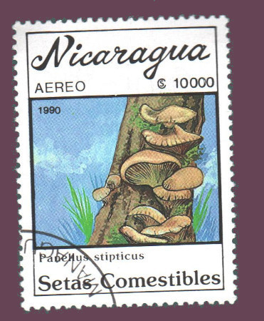 Cartes postales anciennes > CARTES POSTALES > carte postale ancienne > cartes-postales-ancienne.com