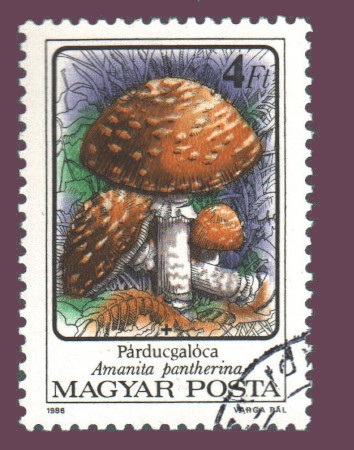 Cartes postales anciennes > CARTES POSTALES > carte postale ancienne > cartes-postales-ancienne.com