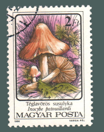 Cartes postales anciennes > CARTES POSTALES > carte postale ancienne > cartes-postales-ancienne.com Monde pays   Hongrie