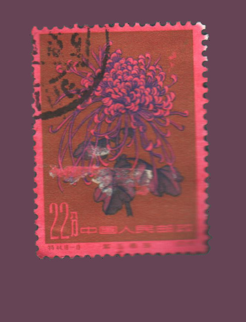 Cartes postales anciennes > CARTES POSTALES > carte postale ancienne > cartes-postales-ancienne.com Monde pays Pays divers