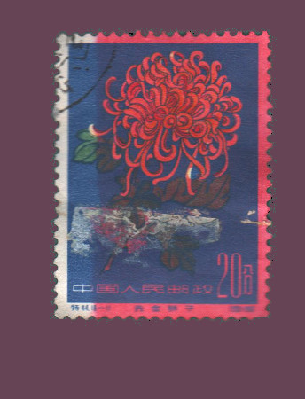 Cartes postales anciennes > CARTES POSTALES > carte postale ancienne > cartes-postales-ancienne.com Monde pays Pays divers