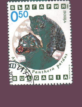 Cartes postales anciennes > CARTES POSTALES > carte postale ancienne > cartes-postales-ancienne.com Monde pays Pays divers