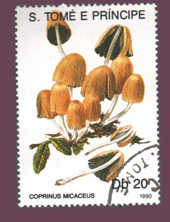 Cartes postales anciennes > CARTES POSTALES > carte postale ancienne > cartes-postales-ancienne.com Monde pays Pays divers