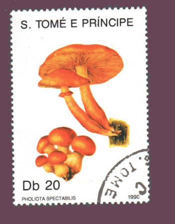Cartes postales anciennes > CARTES POSTALES > carte postale ancienne > cartes-postales-ancienne.com Monde pays Pays divers