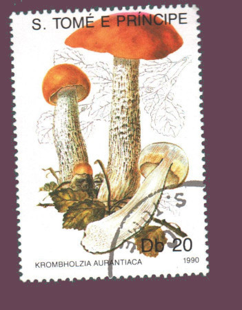 Cartes postales anciennes > CARTES POSTALES > carte postale ancienne > cartes-postales-ancienne.com Monde pays Pays divers