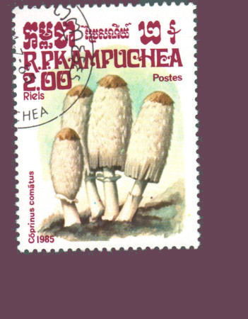 Cartes postales anciennes > CARTES POSTALES > carte postale ancienne > cartes-postales-ancienne.com Monde pays Pays divers