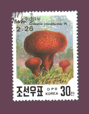 Cartes postales anciennes > CARTES POSTALES > carte postale ancienne > cartes-postales-ancienne.com Monde pays Pays divers