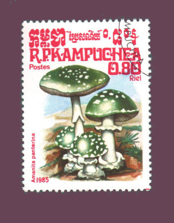 Cartes postales anciennes > CARTES POSTALES > carte postale ancienne > cartes-postales-ancienne.com Monde pays Pays divers