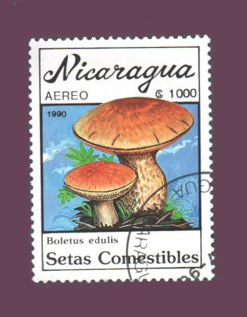 Cartes postales anciennes > CARTES POSTALES > carte postale ancienne > cartes-postales-ancienne.com Monde pays Pays divers