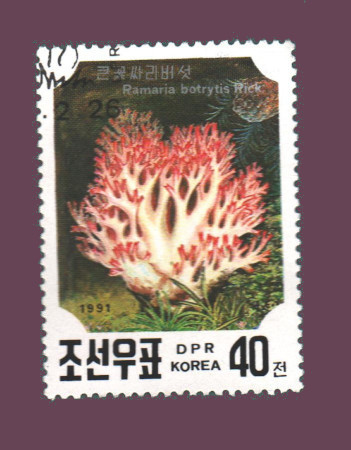 Cartes postales anciennes > CARTES POSTALES > carte postale ancienne > cartes-postales-ancienne.com Monde pays Pays divers
