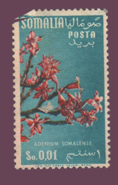 Cartes postales anciennes > CARTES POSTALES > carte postale ancienne > cartes-postales-ancienne.com Monde pays Pays divers
