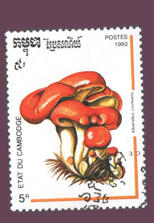 Cartes postales anciennes > CARTES POSTALES > carte postale ancienne > cartes-postales-ancienne.com Monde pays