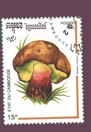 Cartes postales anciennes > CARTES POSTALES > carte postale ancienne > cartes-postales-ancienne.com Monde pays Pays divers