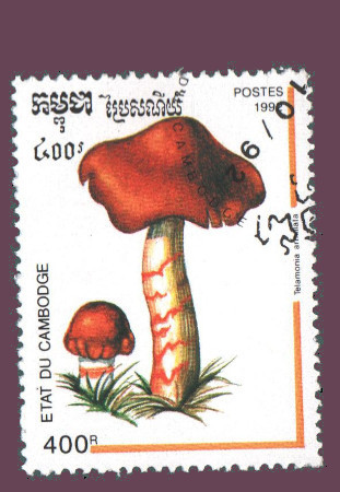 Cartes postales anciennes > CARTES POSTALES > carte postale ancienne > cartes-postales-ancienne.com Monde pays Pays divers