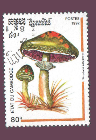 Cartes postales anciennes > CARTES POSTALES > carte postale ancienne > cartes-postales-ancienne.com Monde pays Pays divers