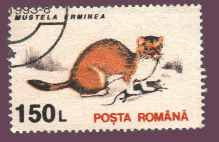 Cartes postales anciennes > CARTES POSTALES > carte postale ancienne > cartes-postales-ancienne.com Monde pays Pays divers