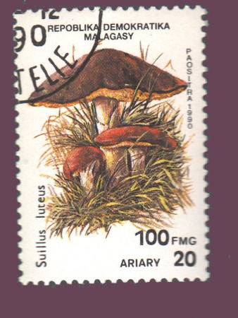 Cartes postales anciennes > CARTES POSTALES > carte postale ancienne > cartes-postales-ancienne.com Monde pays Pays divers