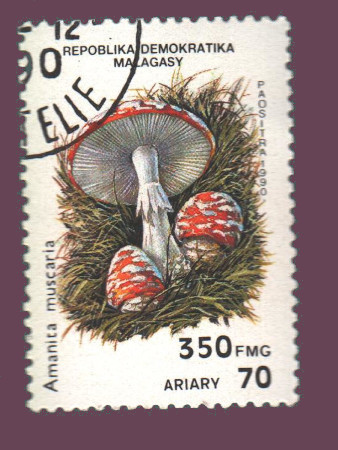 Cartes postales anciennes > CARTES POSTALES > carte postale ancienne > cartes-postales-ancienne.com Monde pays Pays divers