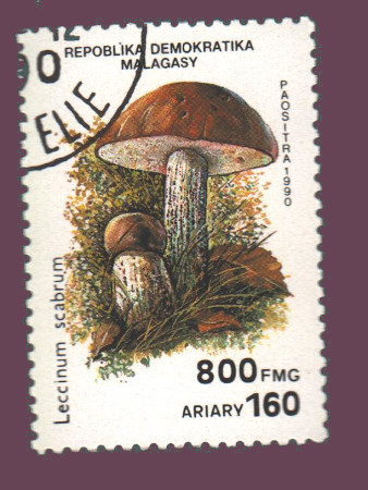 Cartes postales anciennes > CARTES POSTALES > carte postale ancienne > cartes-postales-ancienne.com Monde pays Pays divers