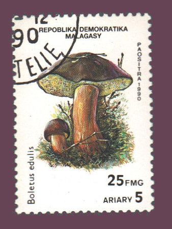 Cartes postales anciennes > CARTES POSTALES > carte postale ancienne > cartes-postales-ancienne.com Monde pays Pays divers