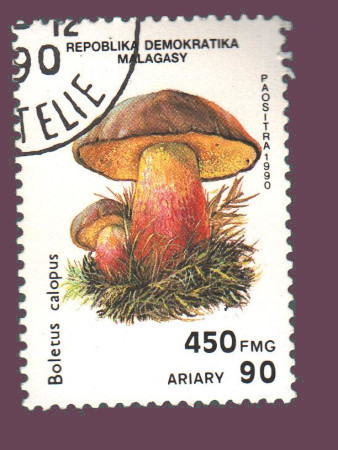 Cartes postales anciennes > CARTES POSTALES > carte postale ancienne > cartes-postales-ancienne.com Monde pays Pays divers