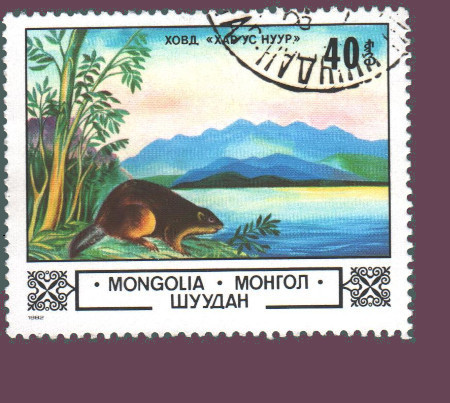 Cartes postales anciennes > CARTES POSTALES > carte postale ancienne > cartes-postales-ancienne.com Monde pays Pays divers Vrac<br>