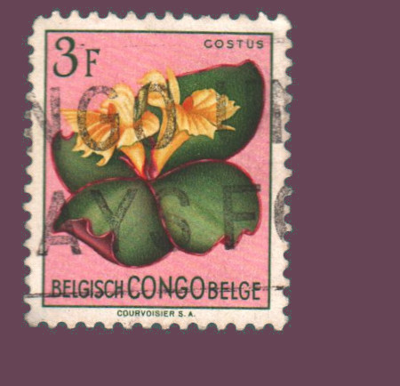 Cartes postales anciennes > CARTES POSTALES > carte postale ancienne > cartes-postales-ancienne.com Monde pays