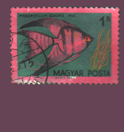 Cartes postales anciennes > CARTES POSTALES > carte postale ancienne > cartes-postales-ancienne.com Monde pays