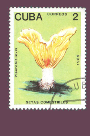 Cartes postales anciennes > CARTES POSTALES > carte postale ancienne > cartes-postales-ancienne.com Monde pays Cuba Vrac<br>