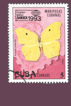 Cartes postales anciennes > CARTES POSTALES > carte postale ancienne > cartes-postales-ancienne.com Monde pays Cuba Vrac<br>