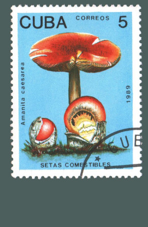 Cartes postales anciennes > CARTES POSTALES > carte postale ancienne > cartes-postales-ancienne.com Monde pays   Cuba Vrac<br>