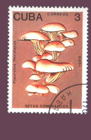 Cartes postales anciennes > CARTES POSTALES > carte postale ancienne > cartes-postales-ancienne.com Monde pays Cuba Vrac<br>