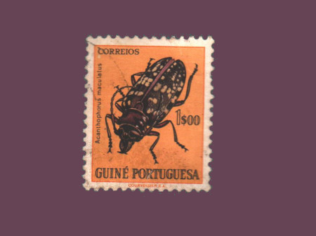 Postage stamps world countries Guinee Vrac<br>