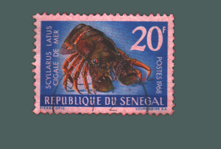 Cartes postales anciennes > CARTES POSTALES > carte postale ancienne > cartes-postales-ancienne.com Monde pays   Senegal Vrac<br>