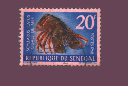 Cartes postales anciennes > CARTES POSTALES > carte postale ancienne > cartes-postales-ancienne.com Monde pays