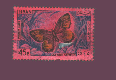 Cartes postales anciennes > CARTES POSTALES > carte postale ancienne > cartes-postales-ancienne.com Monde pays Liban