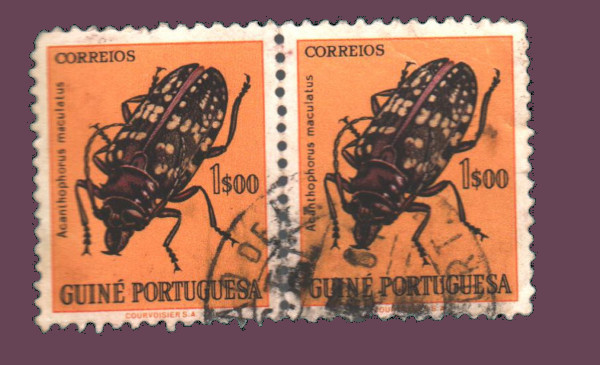Cartes postales anciennes > CARTES POSTALES > carte postale ancienne > cartes-postales-ancienne.com Monde pays