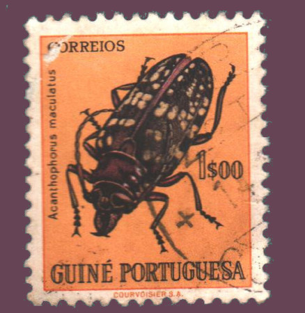 Cartes postales anciennes > CARTES POSTALES > carte postale ancienne > cartes-postales-ancienne.com Monde pays