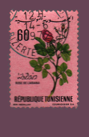 Cartes postales anciennes > CARTES POSTALES > carte postale ancienne > cartes-postales-ancienne.com