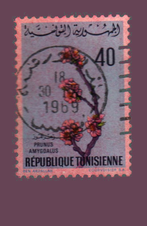 Cartes postales anciennes > CARTES POSTALES > carte postale ancienne > cartes-postales-ancienne.com Monde pays