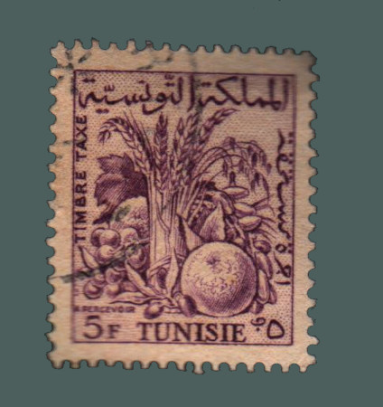 Cartes postales anciennes > CARTES POSTALES > carte postale ancienne > cartes-postales-ancienne.com Monde pays   Tunisie
