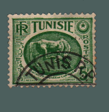 Cartes postales anciennes > CARTES POSTALES > carte postale ancienne > cartes-postales-ancienne.com Monde pays   Tunisie