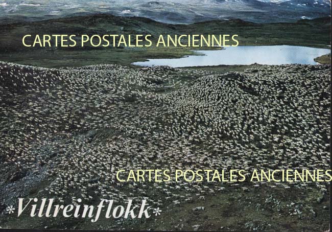 Cartes postales anciennes > CARTES POSTALES > carte postale ancienne > cartes-postales-ancienne.com Union europeenne Norvege