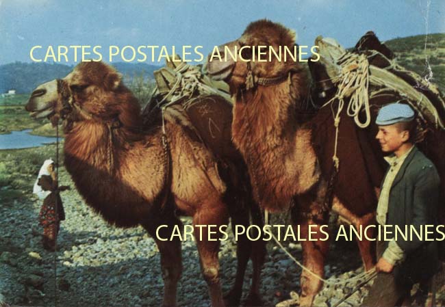 Cartes postales anciennes > CARTES POSTALES > carte postale ancienne > cartes-postales-ancienne.com Turquie