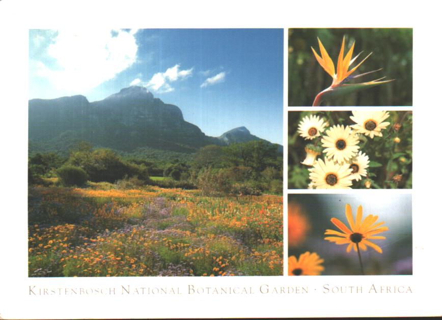 Cartes postales anciennes > CARTES POSTALES > carte postale ancienne > cartes-postales-ancienne.com Afrique