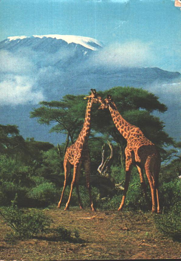 Kenya