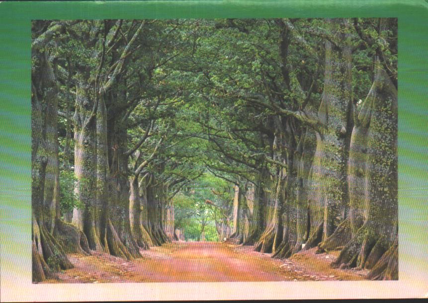 Cartes postales anciennes > CARTES POSTALES > carte postale ancienne > cartes-postales-ancienne.com Burkina faso